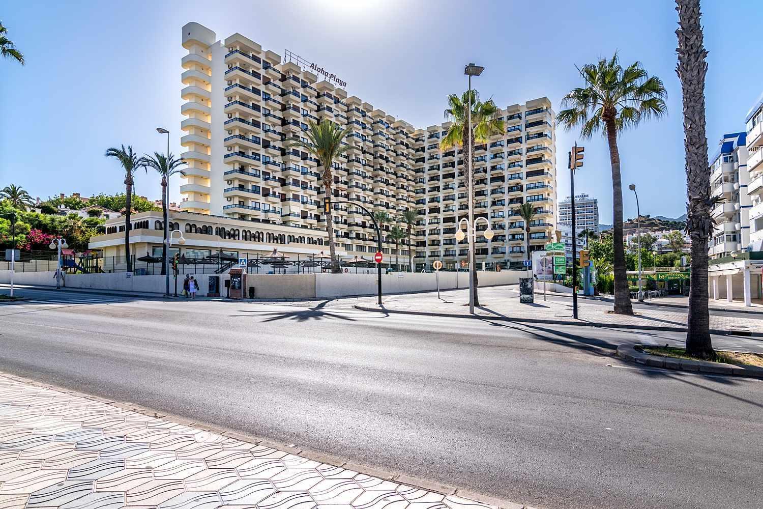 דירות Loft In Front Of The Sea בנאלמדנה מראה חיצוני תמונה